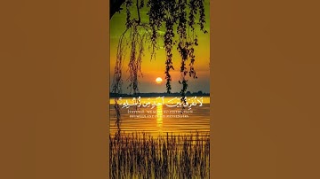 "أواخر سورة البقرة بصوت خاشع | سعد الغامدي – من قرأها كفتاه"