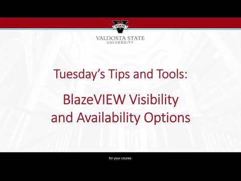Tips and Tools: Availability and Visibility Dates in BlazeVIEW