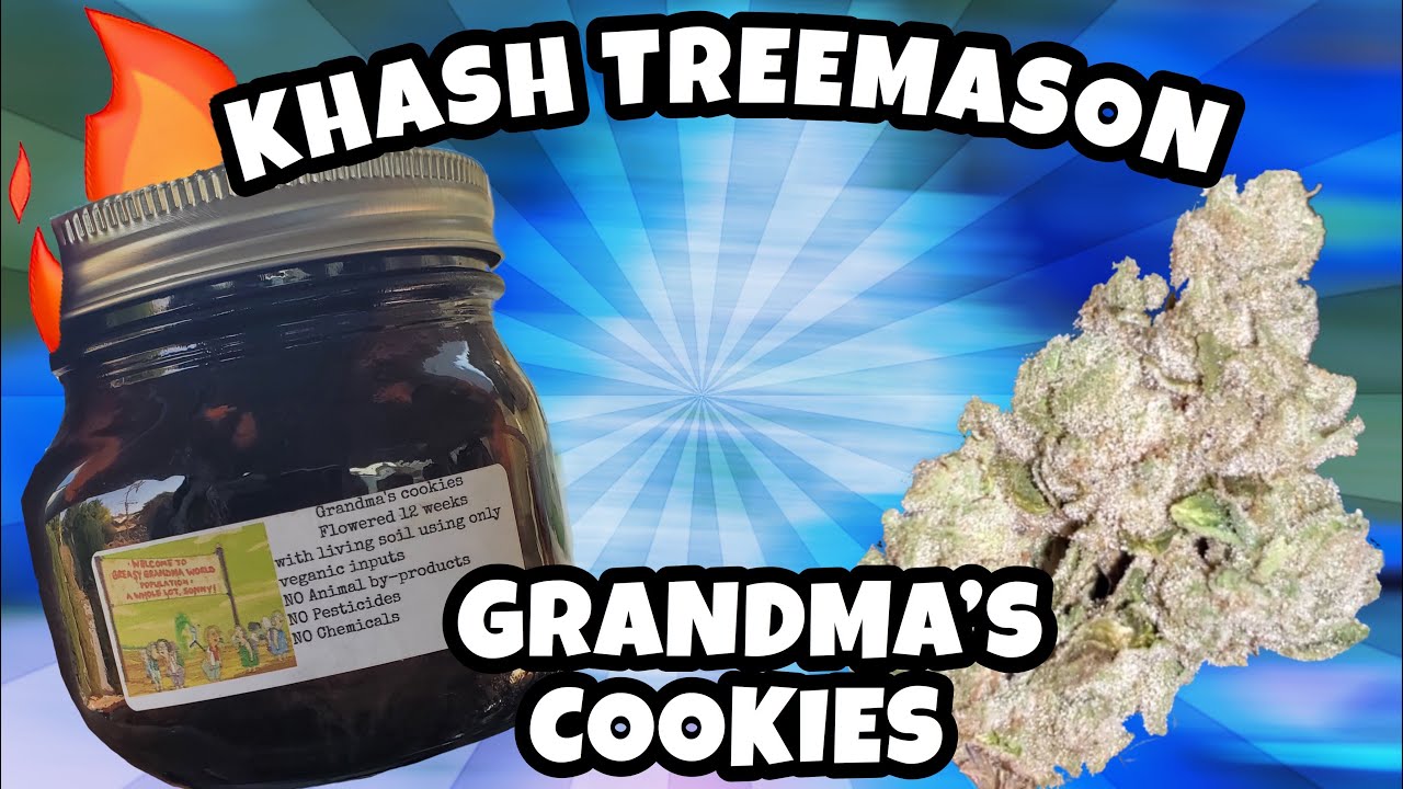 KHASH TREEMASON | GRANDMA'S COOKIES | MUST WATCH REVIEW!!! |