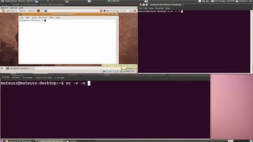 Netcat Banner Grabbing
