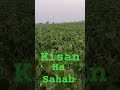#shortvideo #ddd