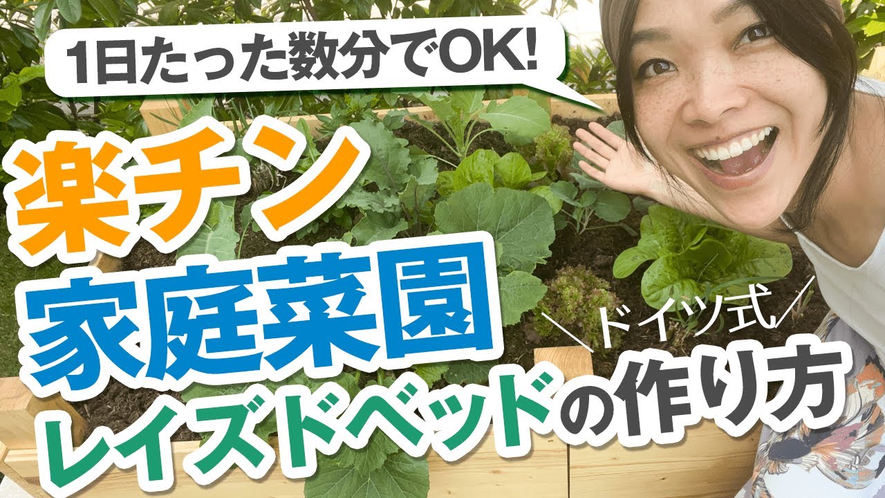 実践編 ゼロから始める家庭菜園レイズドベッドdiy Youtube 実践編 ゼロから始める家庭菜園レイズドベッドdiy Youtube