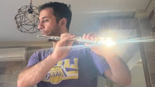 AURORA -The Seed ( Flute Cover )