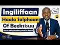 Ingiliffaan Haala SalphaanOf Beeksisuu (English in Afaan Oromo) #learnenglish #hirkoo #bubbee