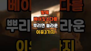 발에 베이킹소다를 뿌리면 놀라운 이유3가지  #음식 #50세 #60대 #이슈 #건강한중년 #건강 #지식 #전국40대 #꿀팁 #40대헬스
