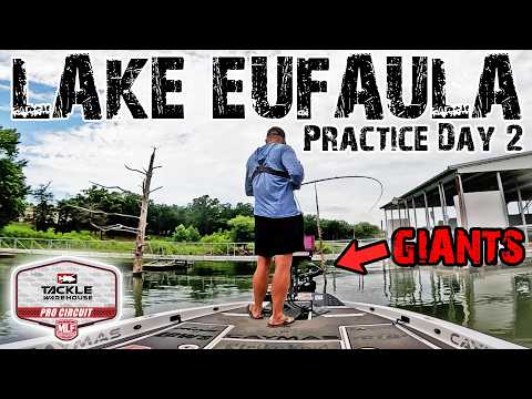 Lake Eufaula Bass Fishing: $100K MLF Practice Day 2 (Catching Giants!)