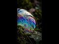 Bubble Film Rainbow Pattern