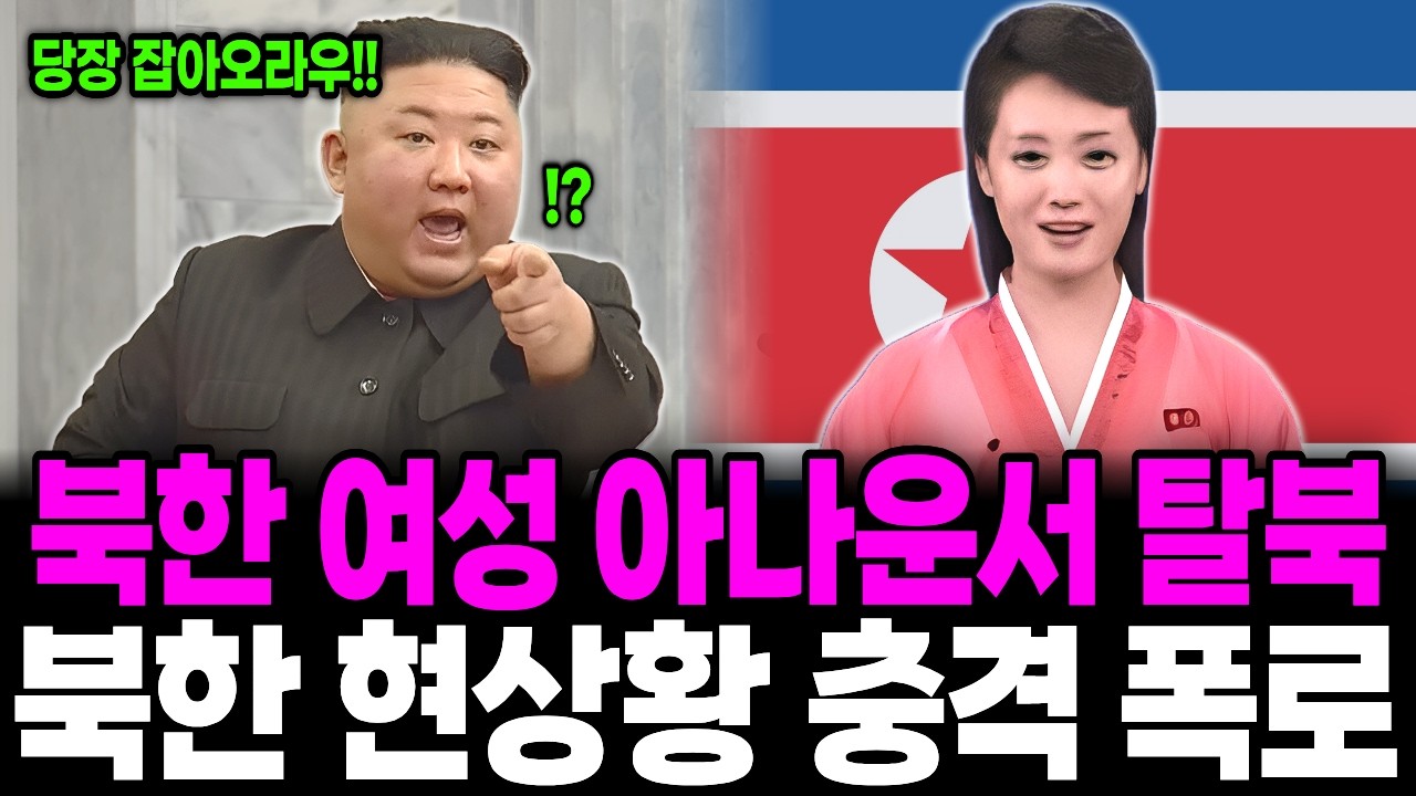북한 유명 여성 아나운서 탈북 북한의 충격적인 상황 증언 북한이 발칵 뒤집힌 이유 | 탈북민 사연 | 북한 사연 | 탈북 사연