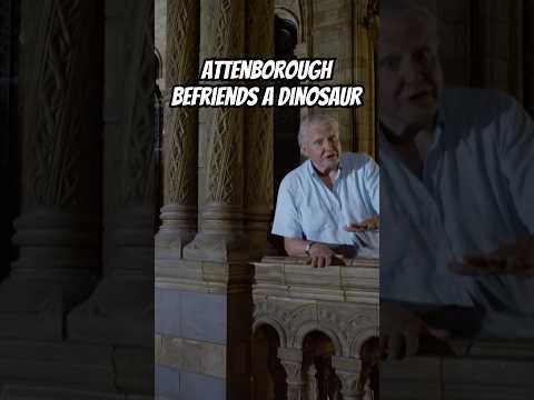 POV: You just met Dippy the dino. #pbs #wildlife #stem #prehistoric #dinosaur #davidattenborough