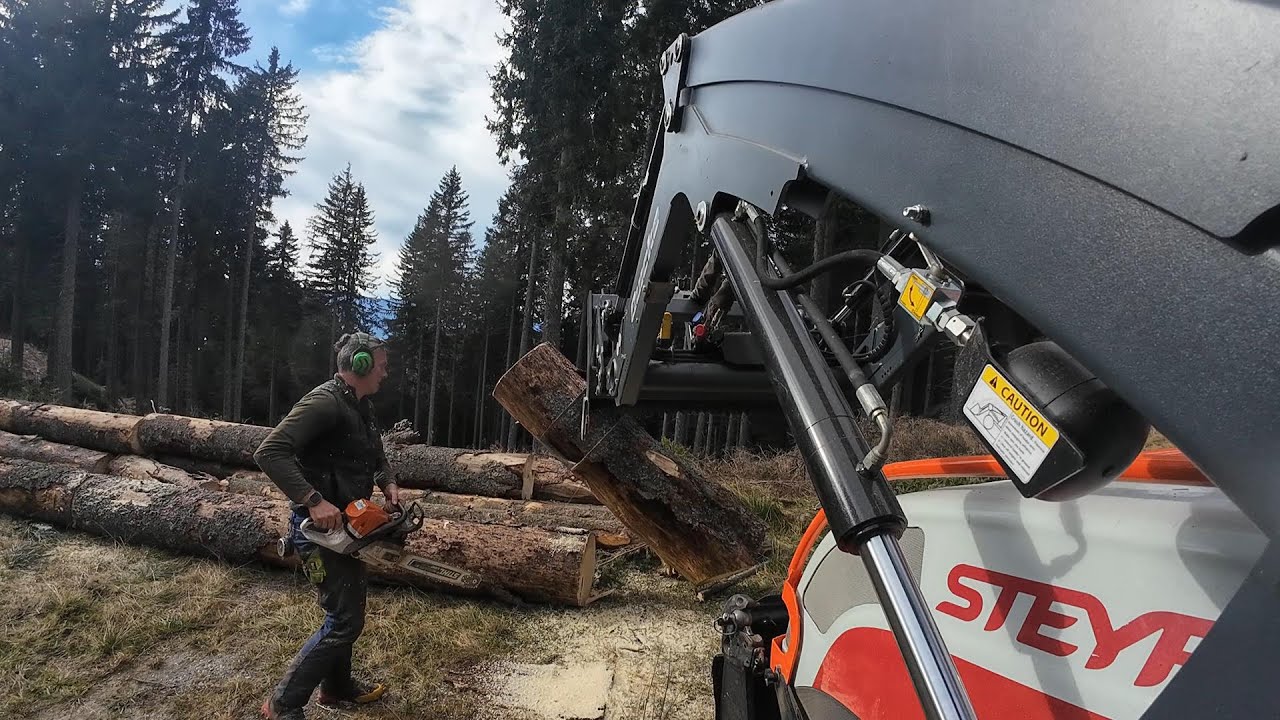 Starkholzfällung mit MS 400 - Steyr Kompakt - Tiger Seilwinde 12t