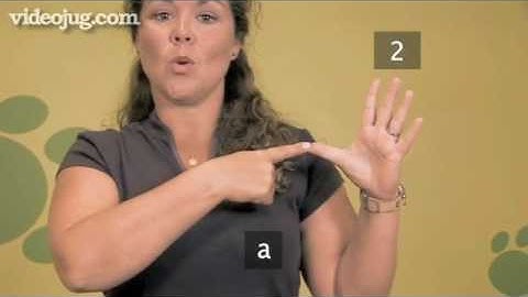 How To Introduce Yourself Using British Sign Language