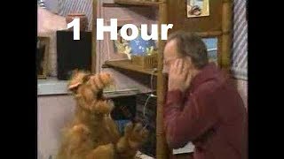 Celebrity Alf Mating Call (Willy Tell Me When This Gets Irritating) 1 Hour Wealth