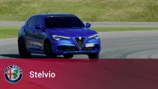 Alfa Romeo Stelvio | Simply brilliant in any situation