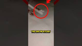 SNOW LITERALLY ATE MY SHOW💀 | FUNNY FAILS