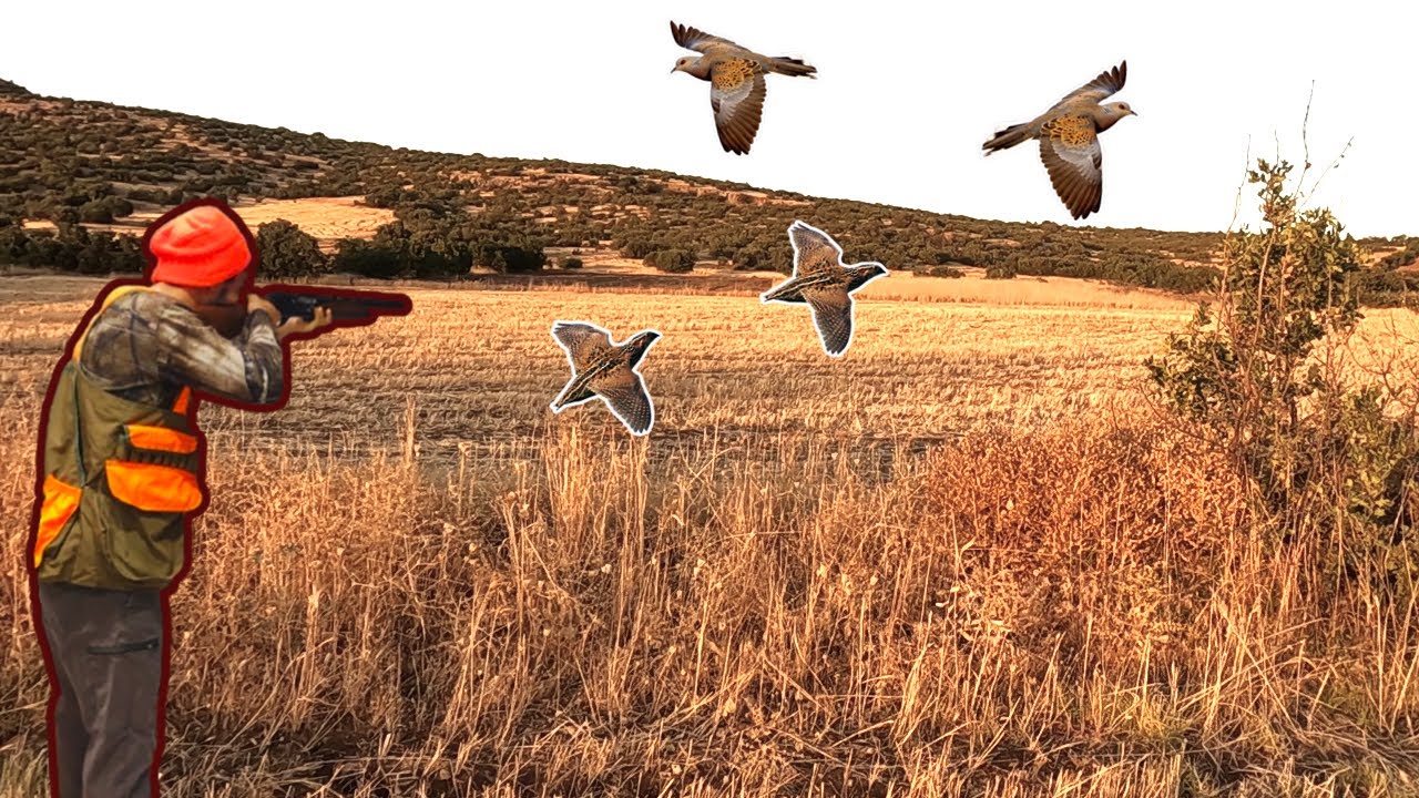 ÜVEYİK VE BILDIRCIN AVI! (2025-26 AV SEZONU AÇILIŞI)