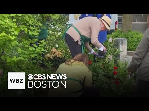 Massachusetts is home to country's oldest garden club