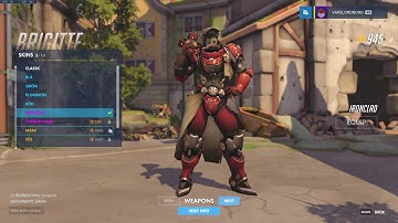 funny brigitte bug