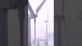 Floating Offshore Wind Farm Animation | Offshore Animation