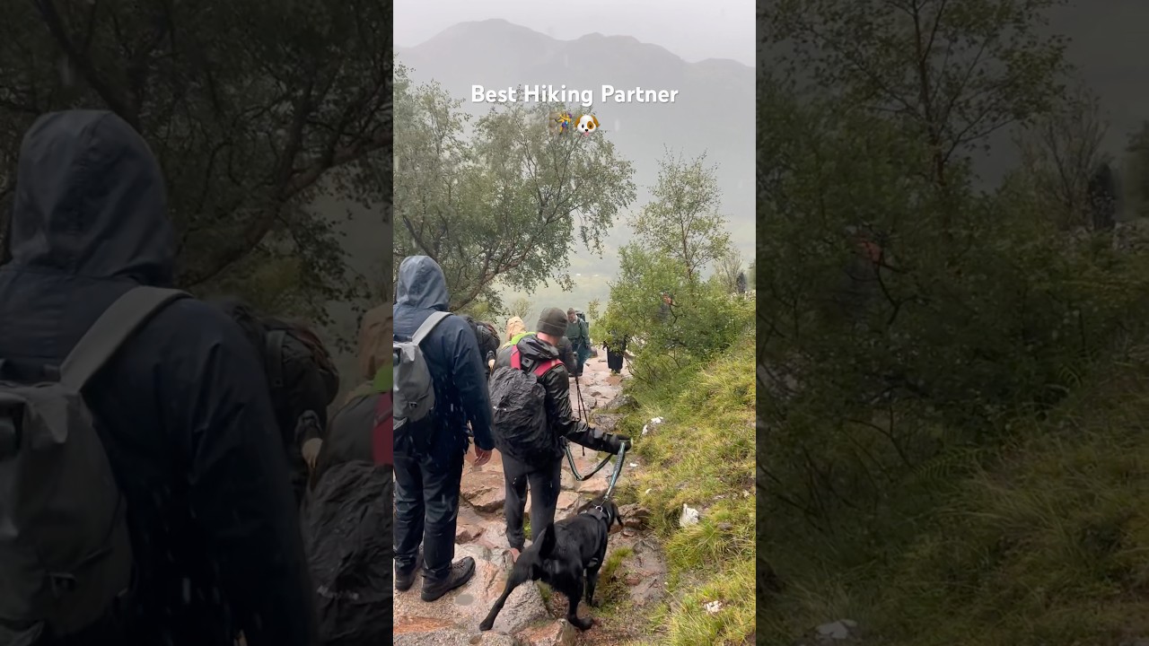 Look who is in hiking mood 👀🐾 