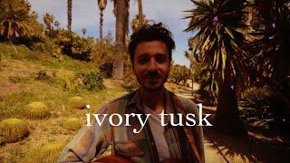 Ivory Tusk - Sleepless Nights & The World Smallsongs