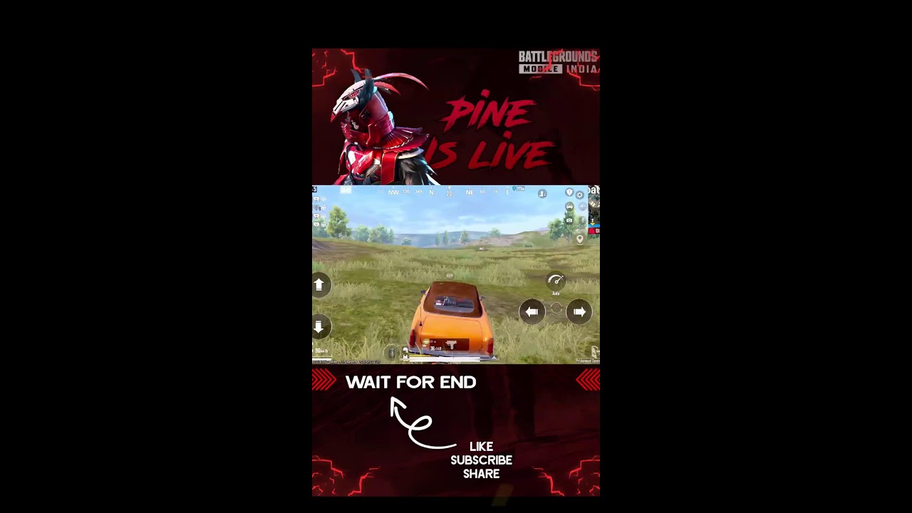| Classic game play|| Pine Is Live | 