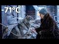 An 80-Year-Old Woman Found a Wolf Mother Chained in an Abandoned Shack at -71°C!