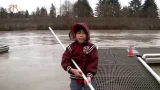 Smelt Fishing using Dipping Net 