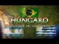 Húngaro - Brazília