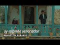 Bahaettin Karakoç Ay Işığında Serenatlar 