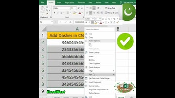 Add Dashes in CNIC Number @MicrosoftExcelacademy7