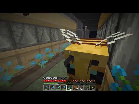 Etho Plays Minecraft - Episode 535: Bee Productive