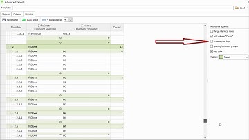 BIM Vision – ADVANCED REPORT