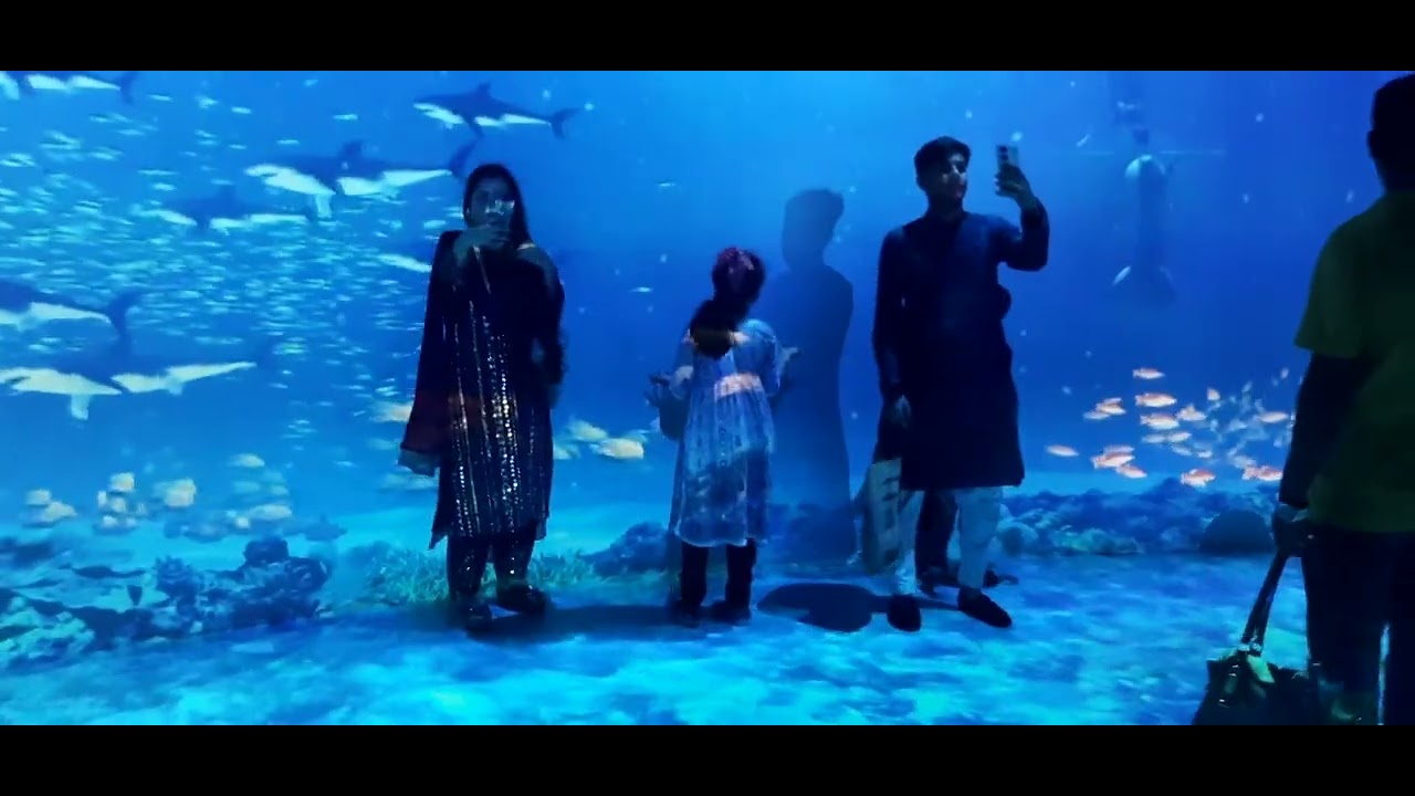 Bangladesh Military Museum Time Schedule