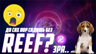 ПОЧЕМУ Я ВСЁ РАВНО ВЕРЮ В МОНЕТУ REEF? REEF FINANCE НЕ УМЕР! СКАМ ЭТОГО ПРОЕКТА ПРОСТО НЕВОЗМОЖЕН!