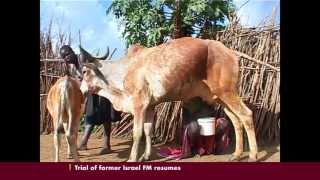 Kenya Uganda Agree on Animal Health.