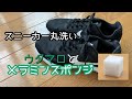 【ウタマロ】ウタマロとメラミンスポンジでスニーカー丸洗い！