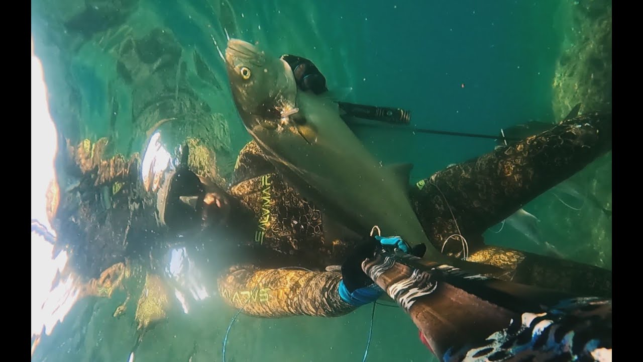 Spearfishing-09.08.2024