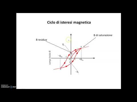 Video: Come sono allineati i domini magnetici?