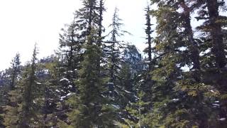 Table Rock Wilderness