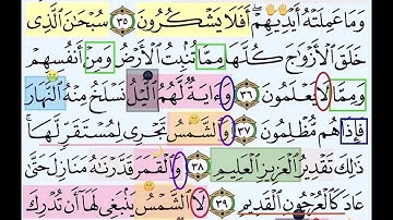 باقي صفحة 442 من سورة يس الايات من 35:40 مكررة بصوت الشيخ محمود الحصري