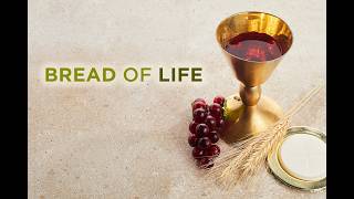 The Solemnity of the Most Holy Body and Blood of Christ, June 7th, 10:00 am Mass