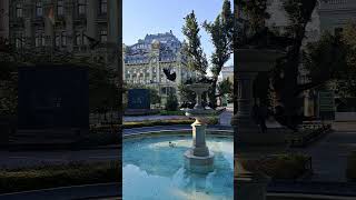 Утро в горсаду. Дерибасовская. Одесса #одесса #дерибасовская #горсад #любимыйгород