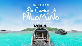 DJ Nelson x Alejandro Armes x Christian Alicea - Se Le Nota [Official Audio]