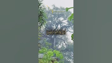 سورة المائده الايه 116