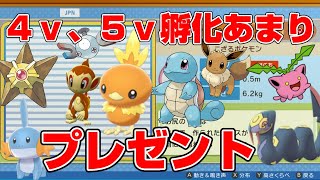 【ダイパリメイク】４V、５V孵化あまり配布します！ランダムバトルしながら【ポケモンBDSPシャイニングパール】