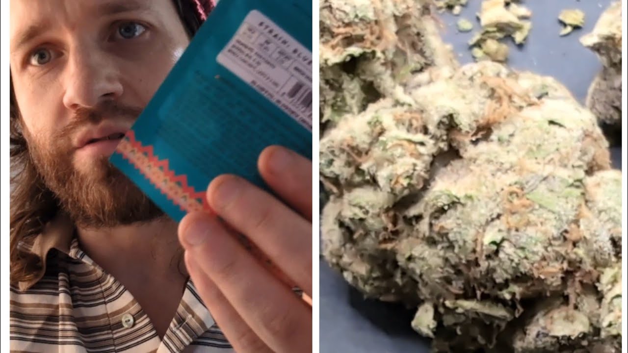 "blueberry pancake" by revelry! Top shelf thca flower review literally a pancake got me lit AF