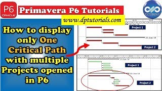 How To Display Only One Critical Path With Multiple Projects Opened In Primavera P6 || dptutorials
