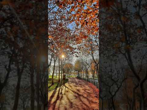 إعلان ترويجي   محمود عبادله