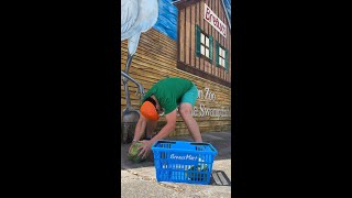 MORE LIKE BREAUX PERFECT🏈🥬🛒