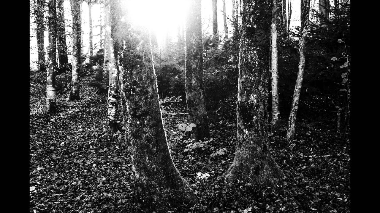 The calm before the storm